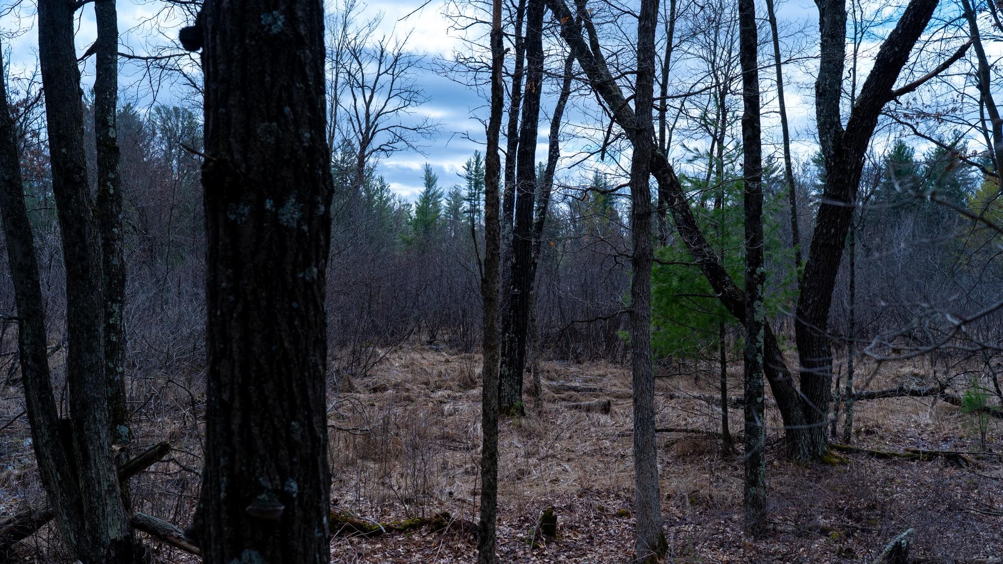 Lot 3-87 Ac Dover Adams, WI 53910 - Photo 21 of 37