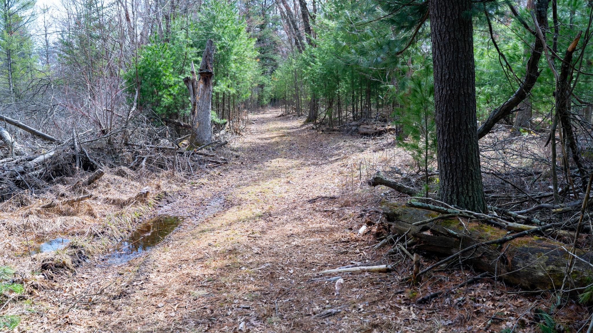 Lot 3-87 Ac Dover Adams, WI 53910 - Photo 23 of 37
