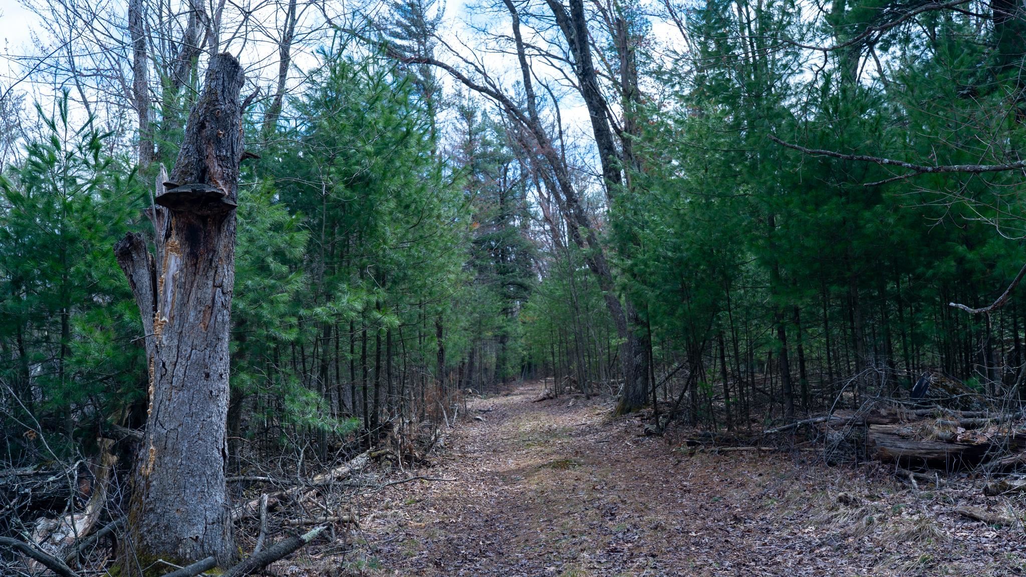 Lot 3-87 Ac Dover Adams, WI 53910 - Photo 24 of 37