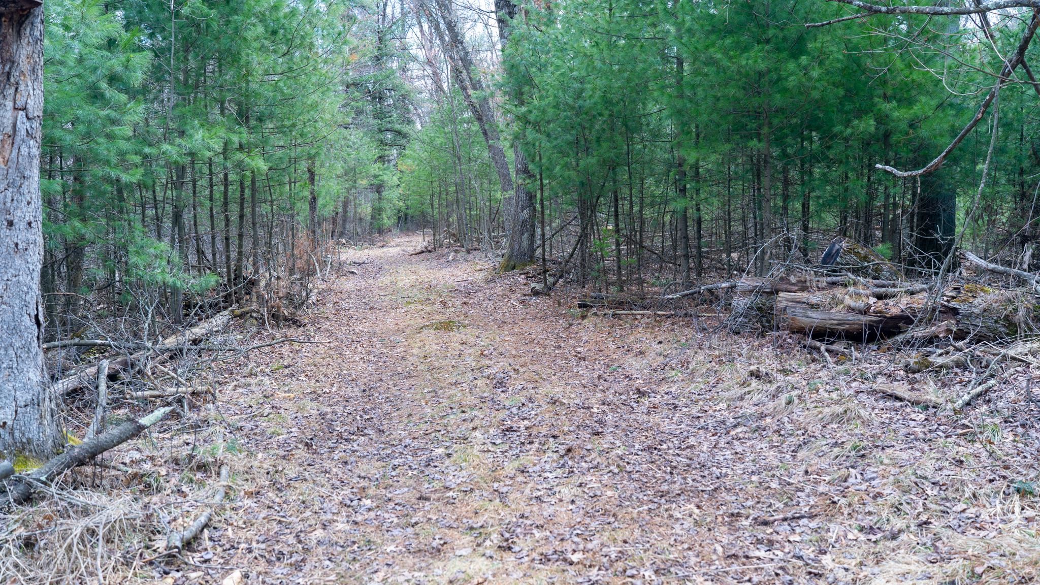 Lot 3-87 Ac Dover Adams, WI 53910 - Photo 25 of 37