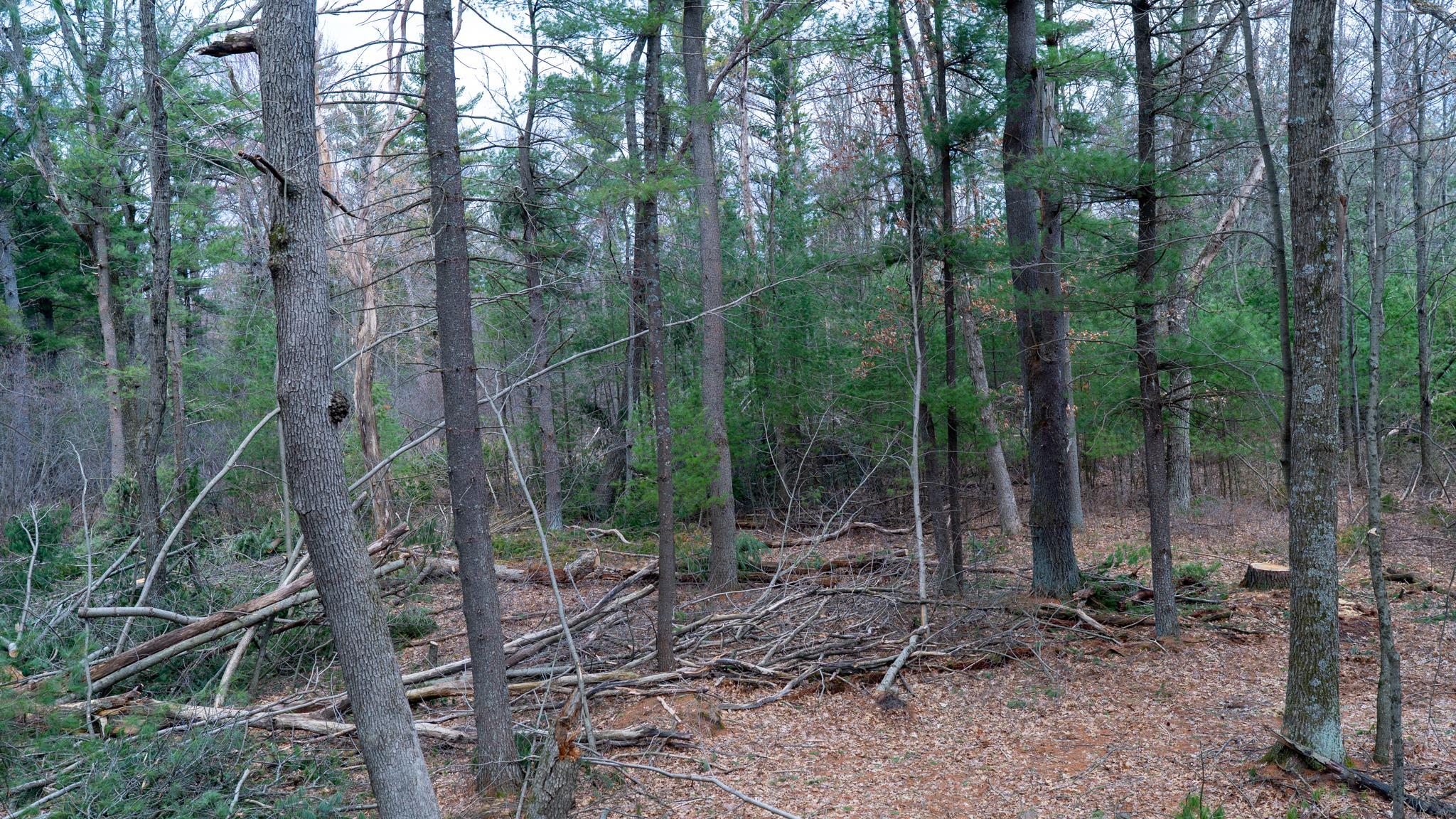 Lot 3-87 Ac Dover Adams, WI 53910 - Photo 26 of 37