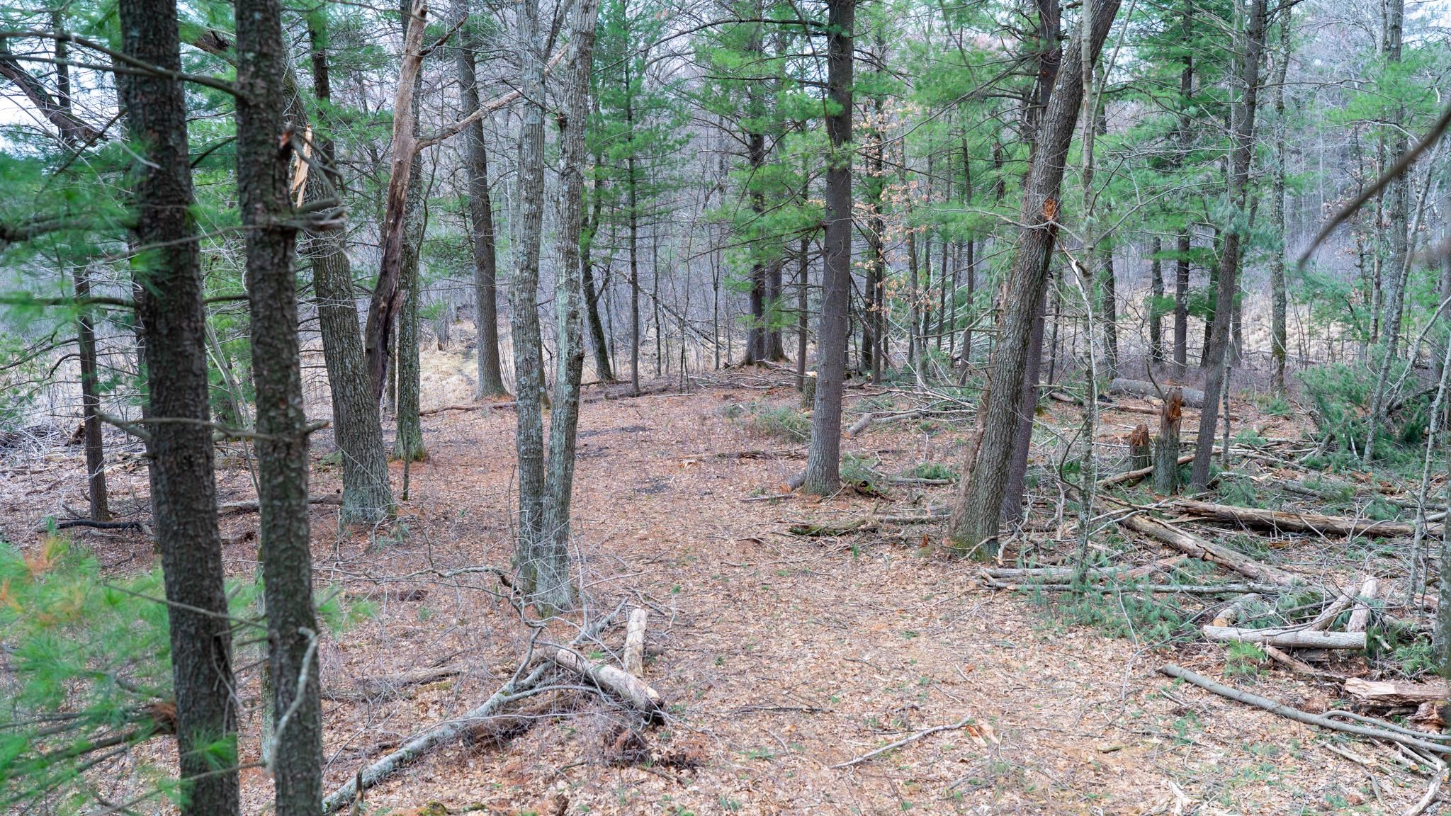 Lot 3-87 Ac Dover Adams, WI 53910 - Photo 27 of 37
