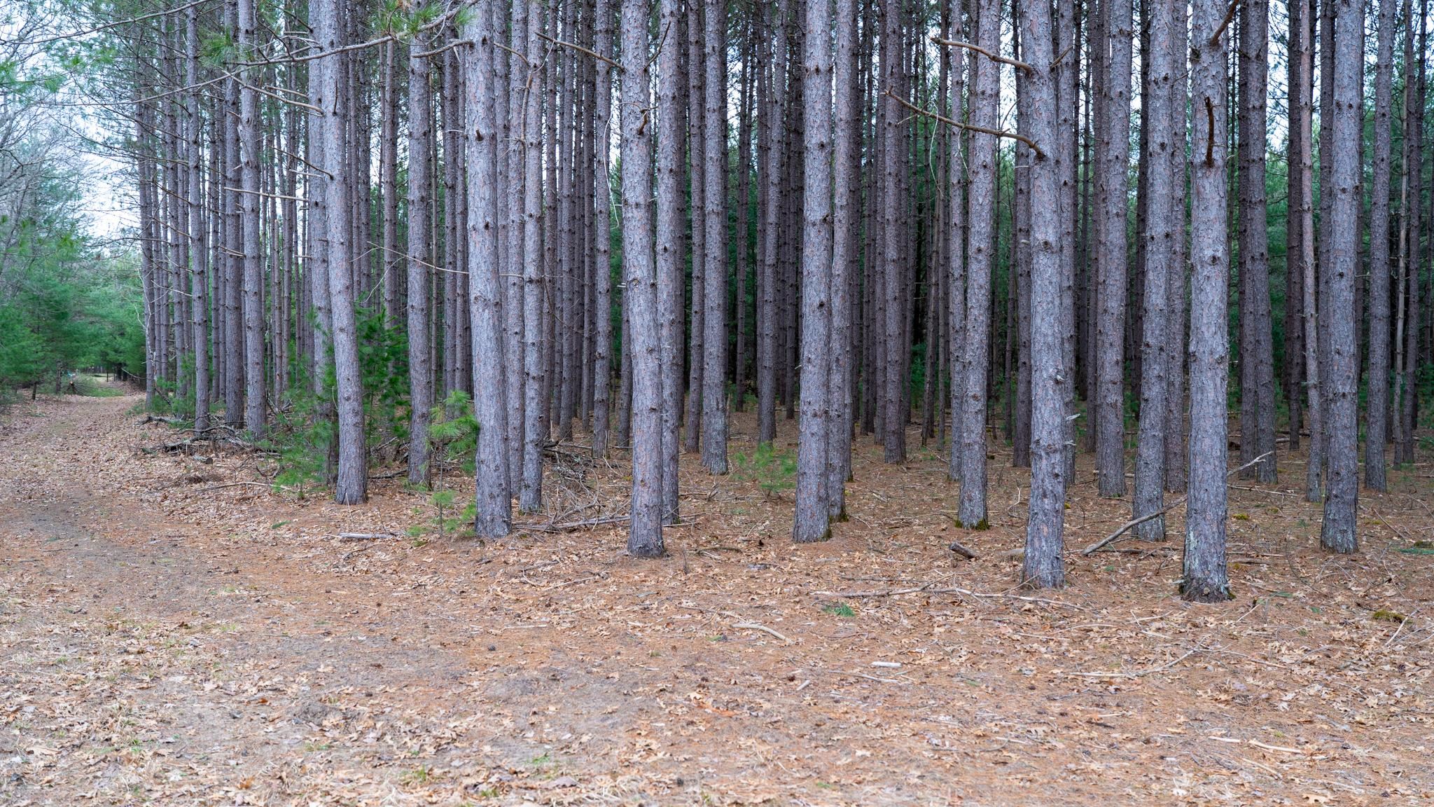 Lot 3-87 Ac Dover Adams, WI 53910 - Photo 28 of 37