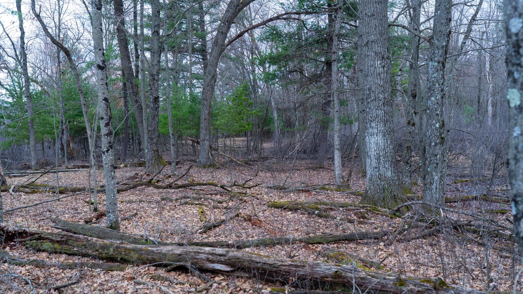 Lot 3-87 Ac Dover Adams, WI 53910 - Photo 29 of 37