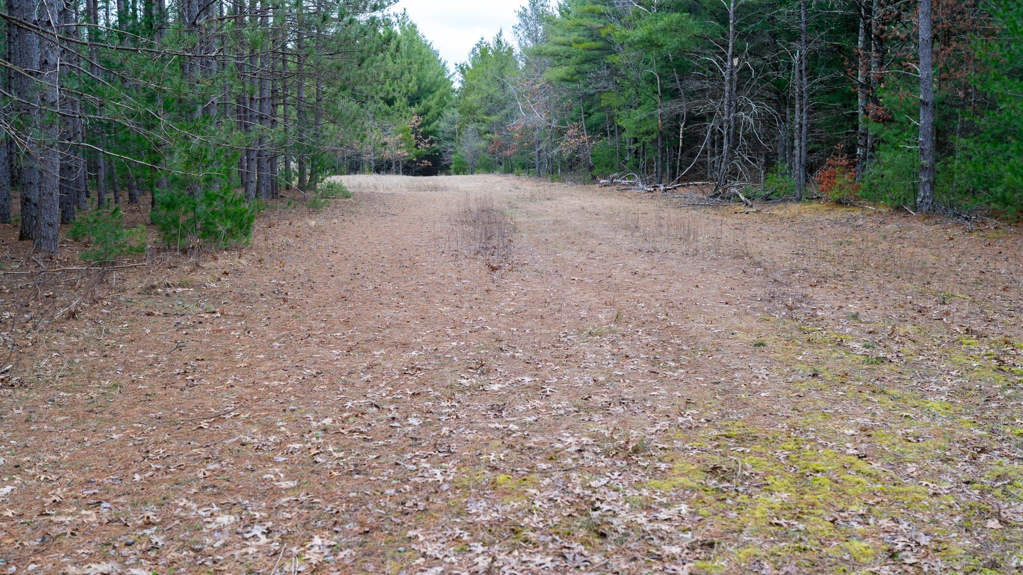 Lot 3-87 Ac Dover Adams, WI 53910 - Photo 3 of 37