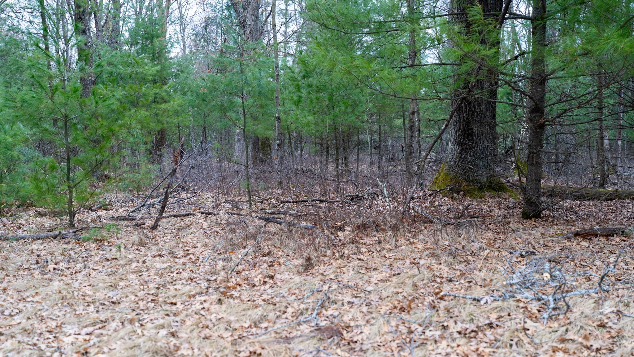 Lot 3-87 Ac Dover Adams, WI 53910 - Photo 31 of 37