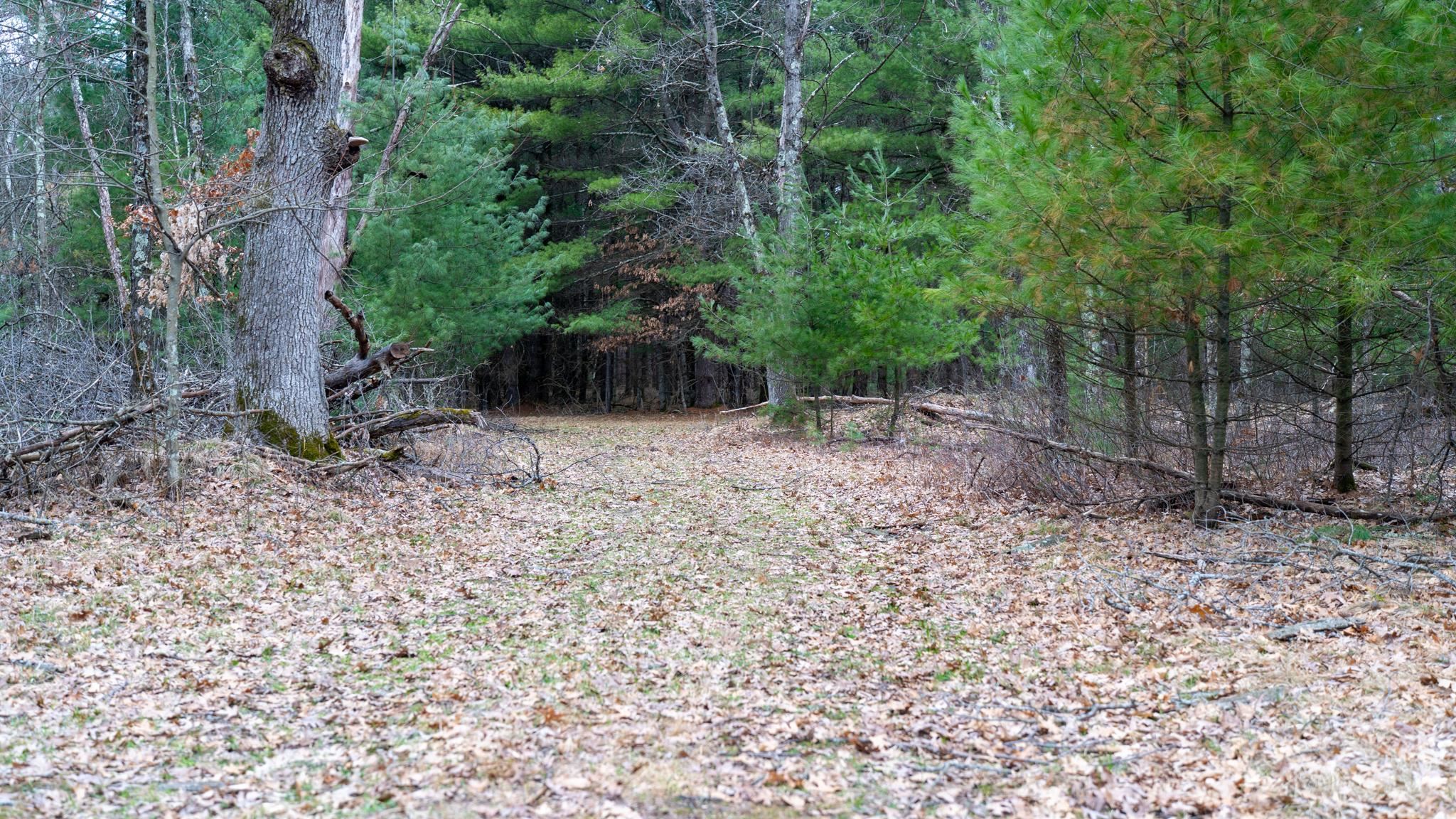 Lot 3-87 Ac Dover Adams, WI 53910 - Photo 32 of 37