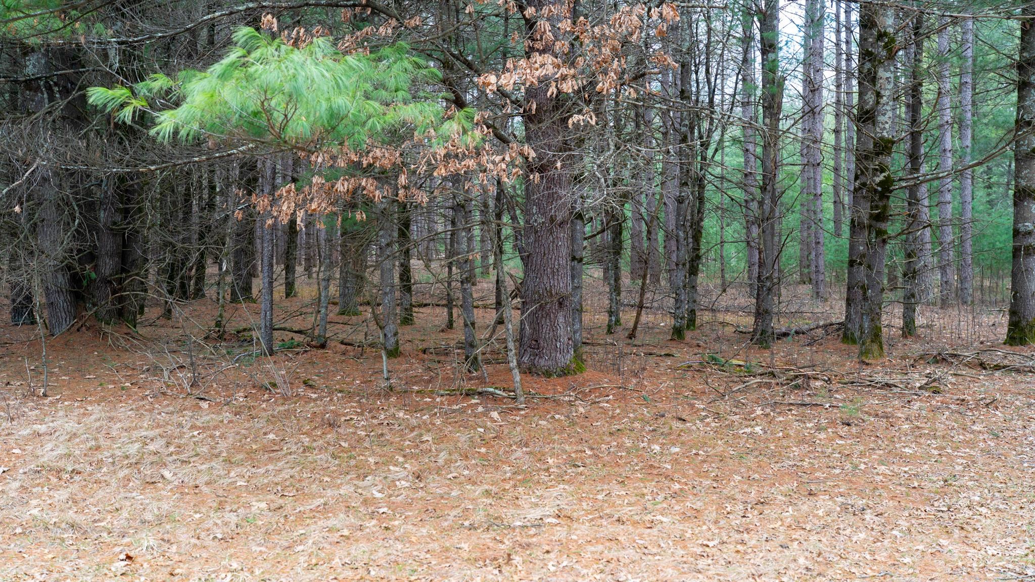 Lot 3-87 Ac Dover Adams, WI 53910 - Photo 33 of 37