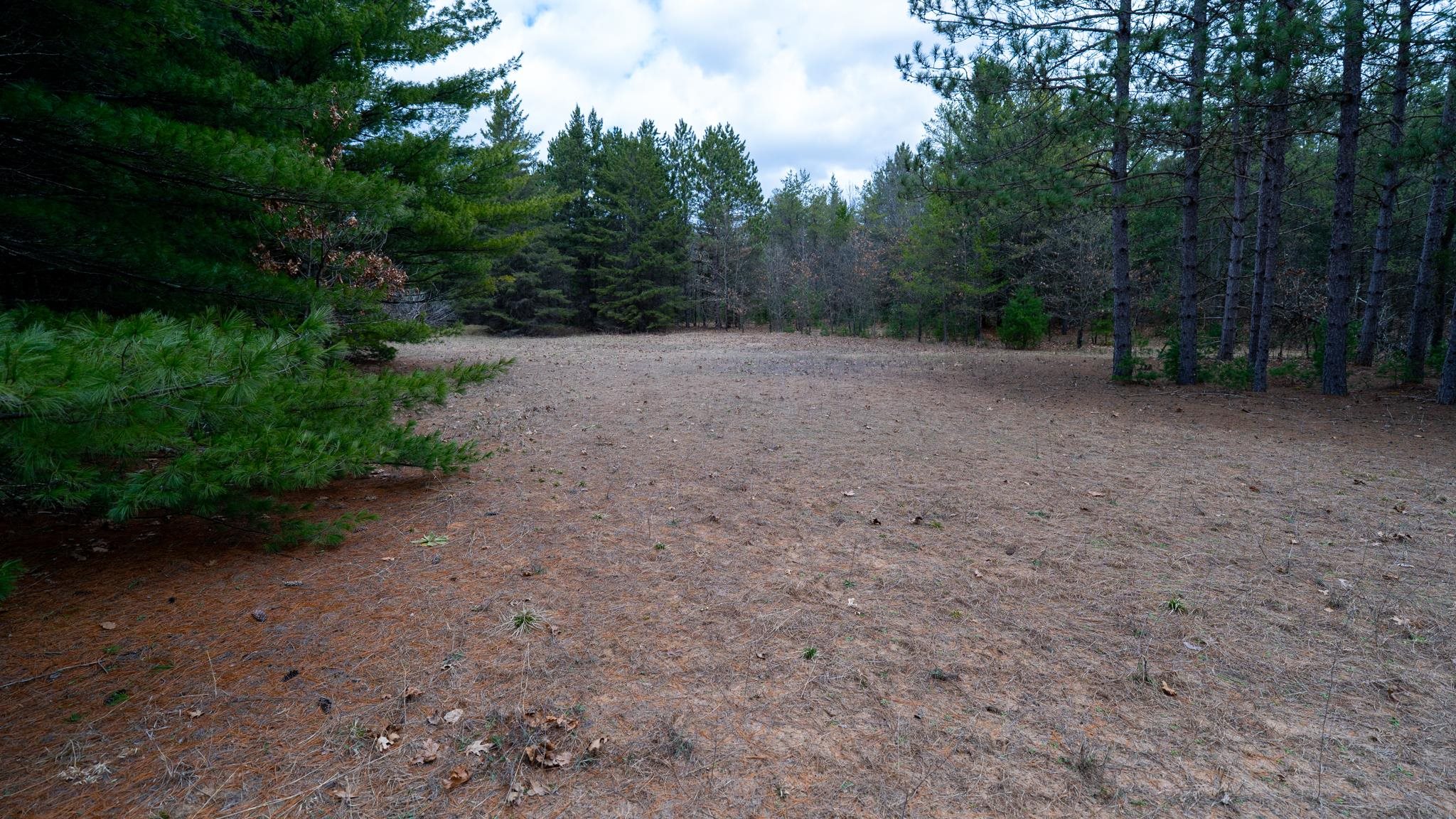 Lot 3-87 Ac Dover Adams, WI 53910 - Photo 37 of 37