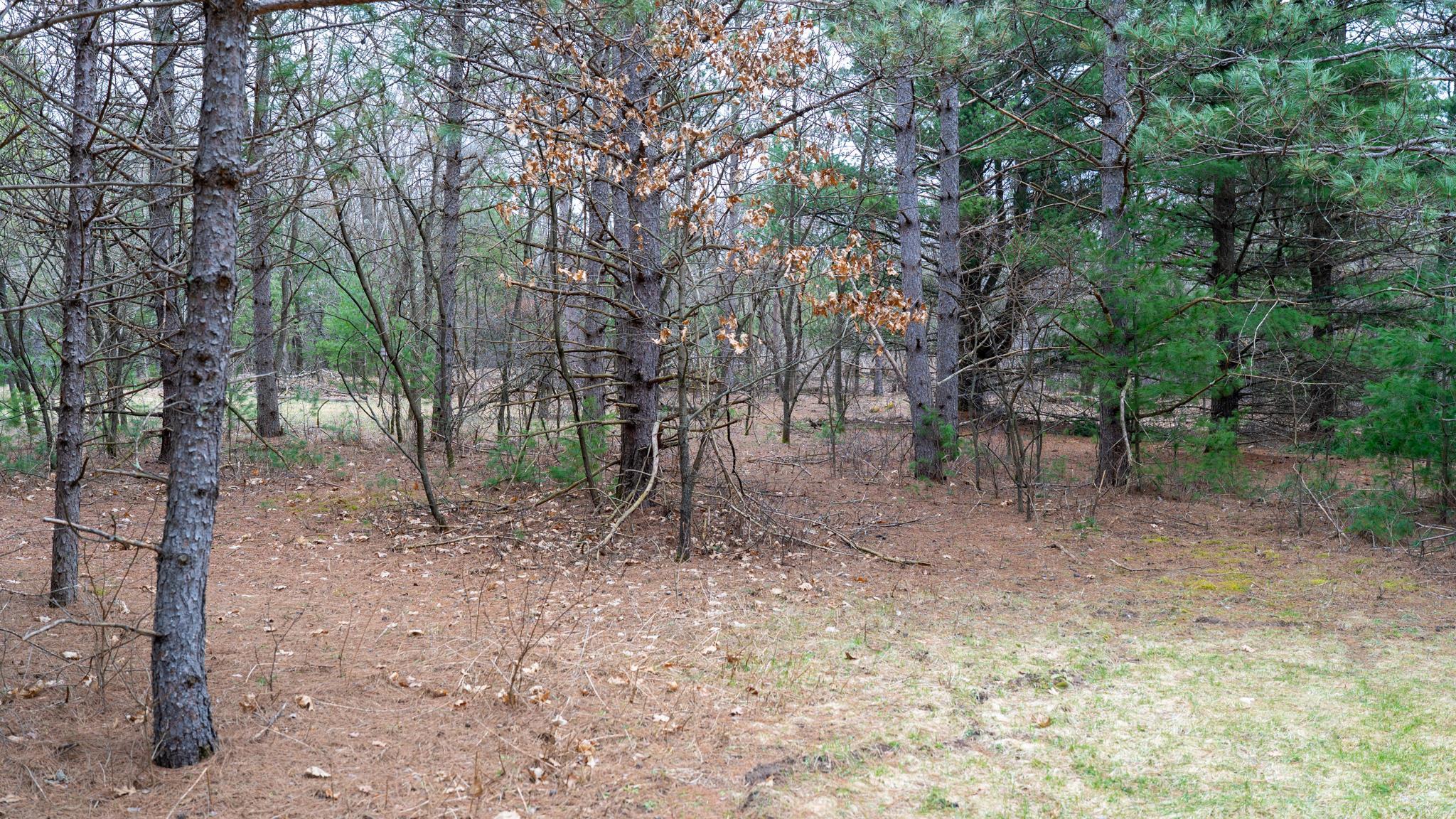 Lot 3-87 Ac Dover Adams, WI 53910 - Photo 6 of 37