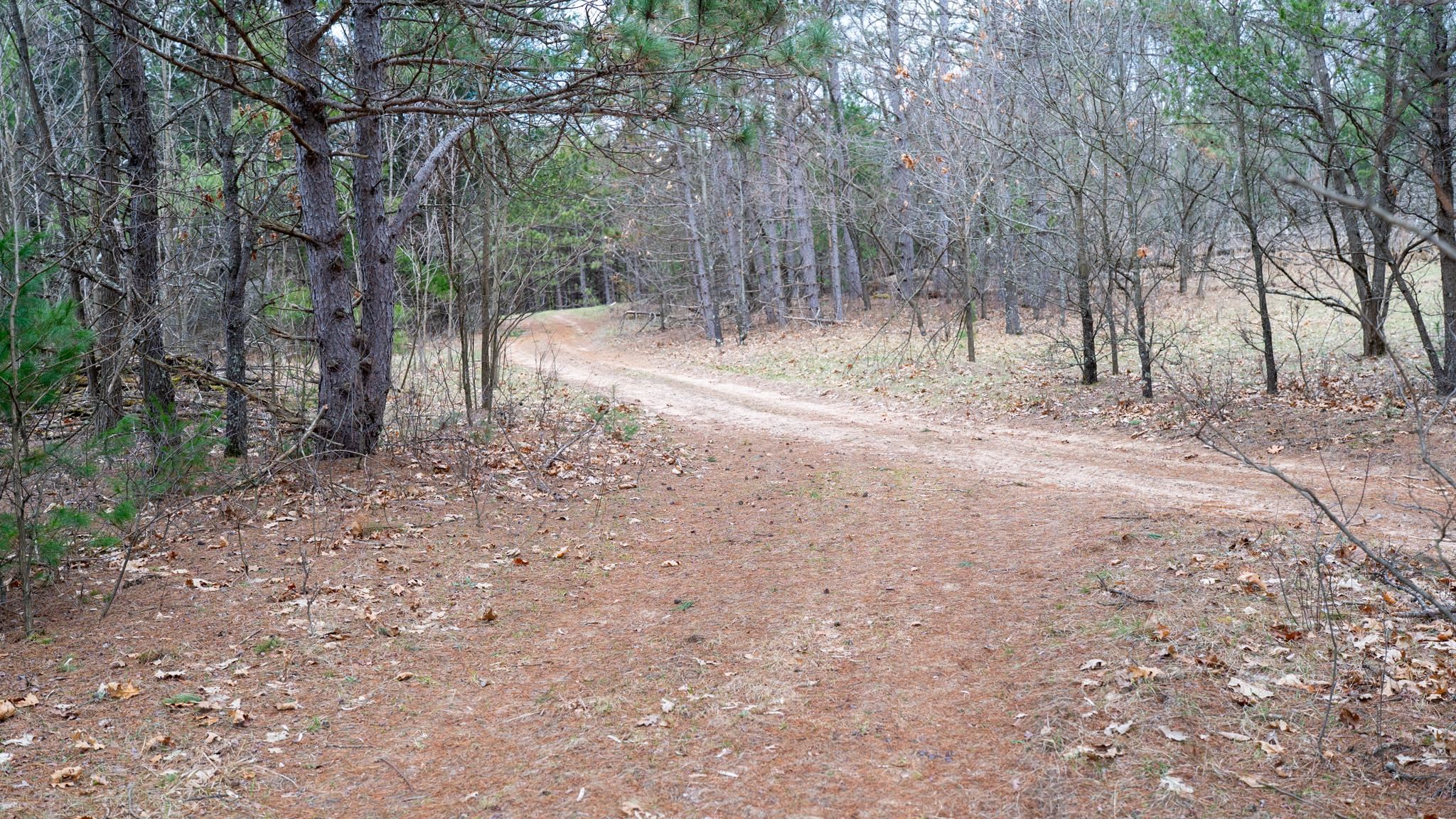 Lot 3-87 Ac Dover Adams, WI 53910 - Photo 8 of 37