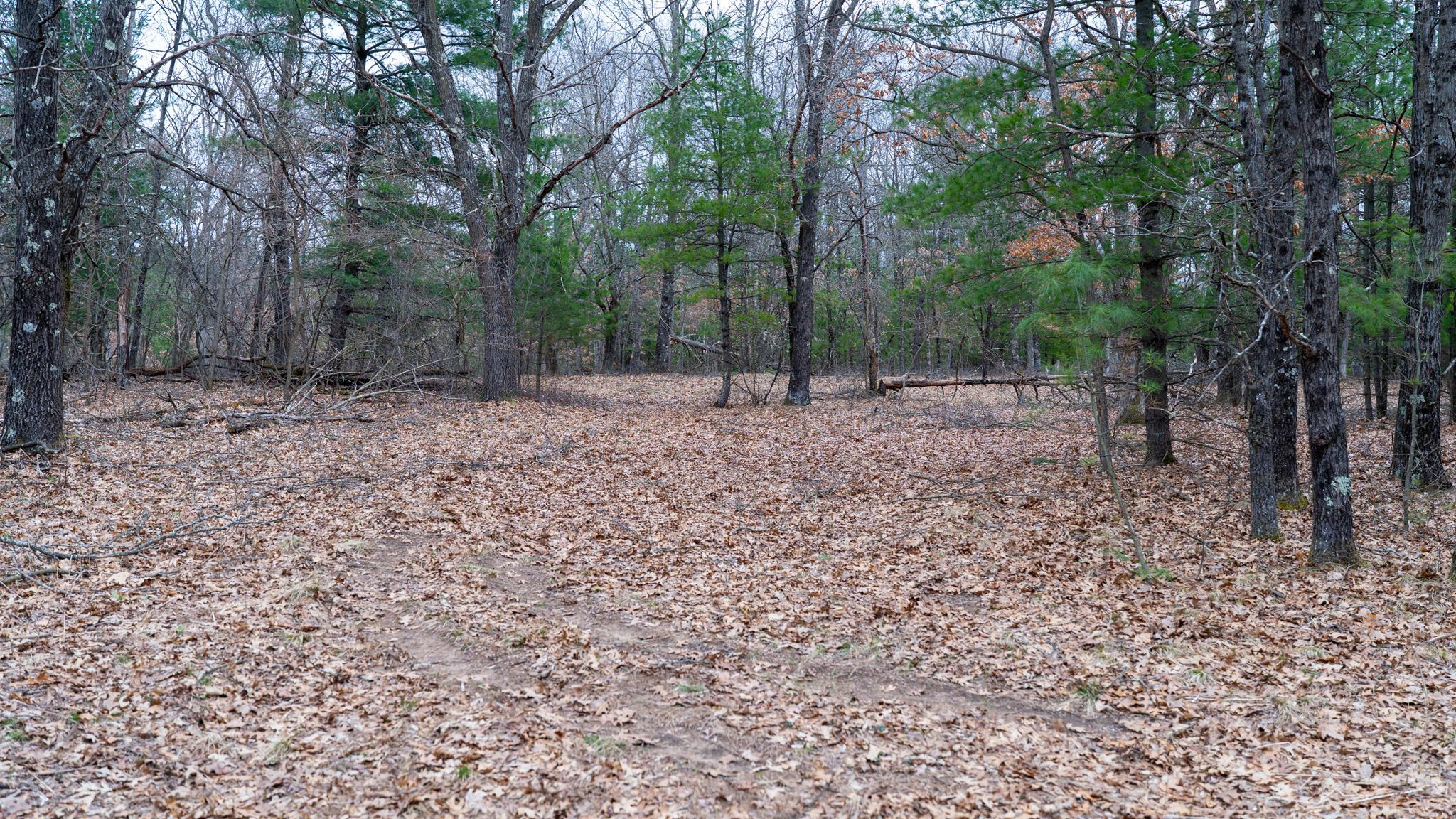Lot 3-87 Ac Dover Adams, WI 53910 - Photo 9 of 37