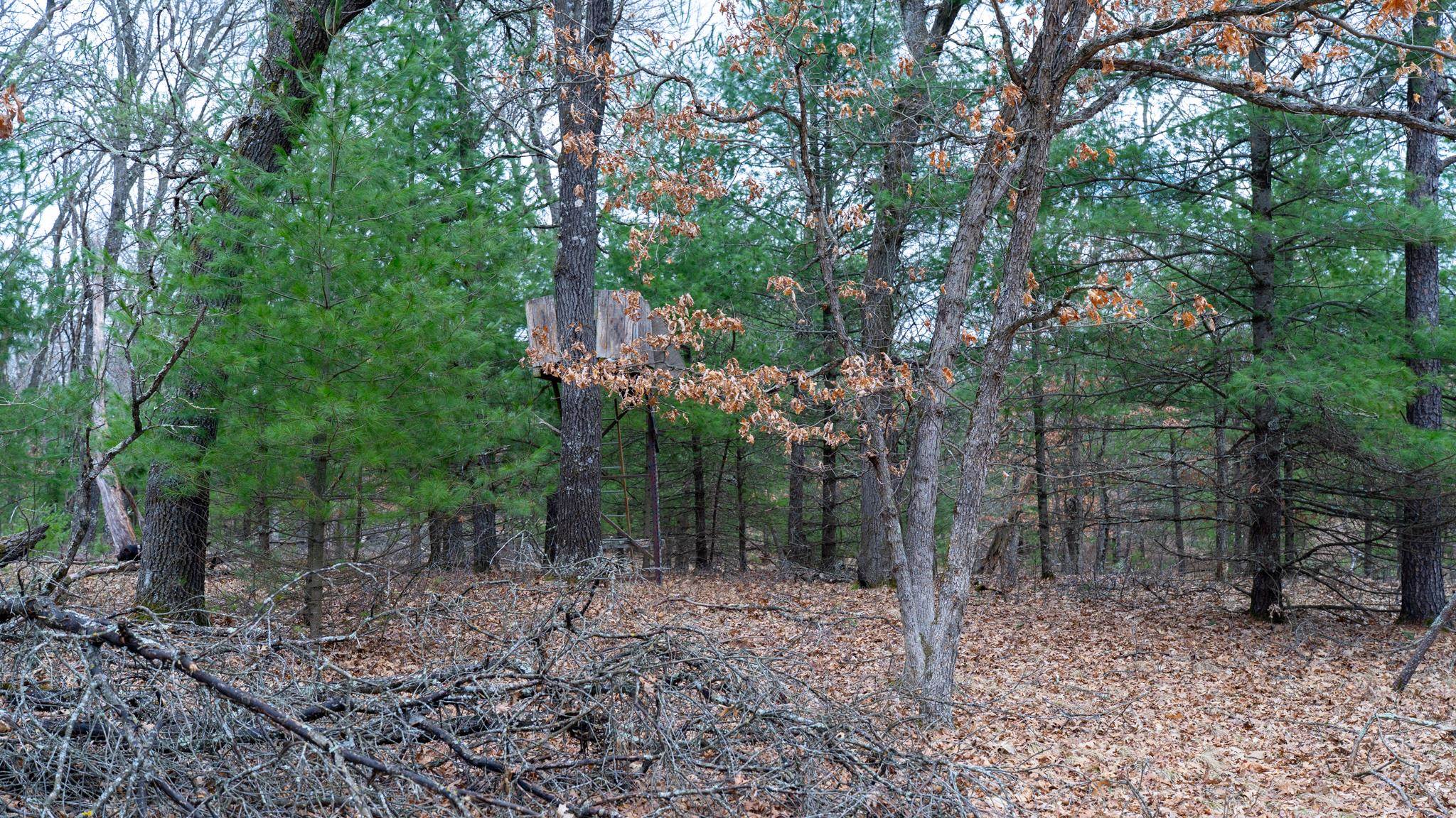 Lot 3-87 Ac Dover Adams, WI 53910 - Photo 10 of 37
