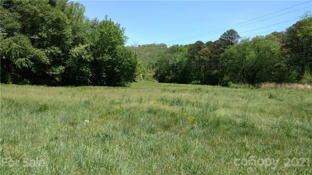 99999 Hendersonville Road Arden, NC 28704 - Photo 2 of 15 a view of an outdoor space and a yard