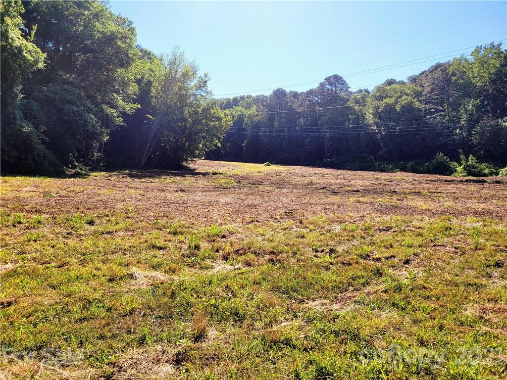 99999 Hendersonville Road Arden, NC 28704 - Photo 11 of 15 a view of road and yard