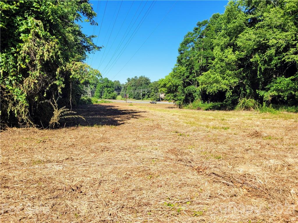 99999 Hendersonville Road Arden, NC 28704 - Photo 13 of 15 a view of a yard