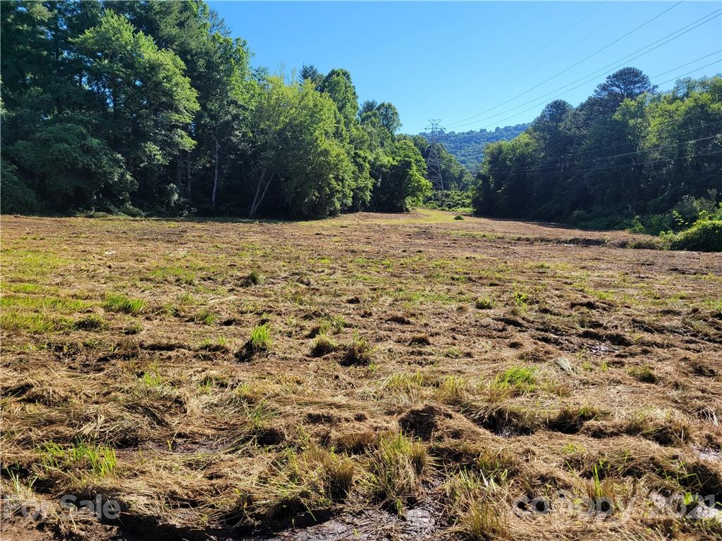 99999 Hendersonville Road Arden, NC 28704 - Photo 10 of 15 a view of outdoor space with trees