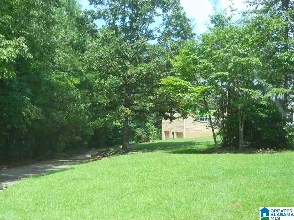 85 Ashley Lane Dora, AL 35062 - Photo 17 of 18