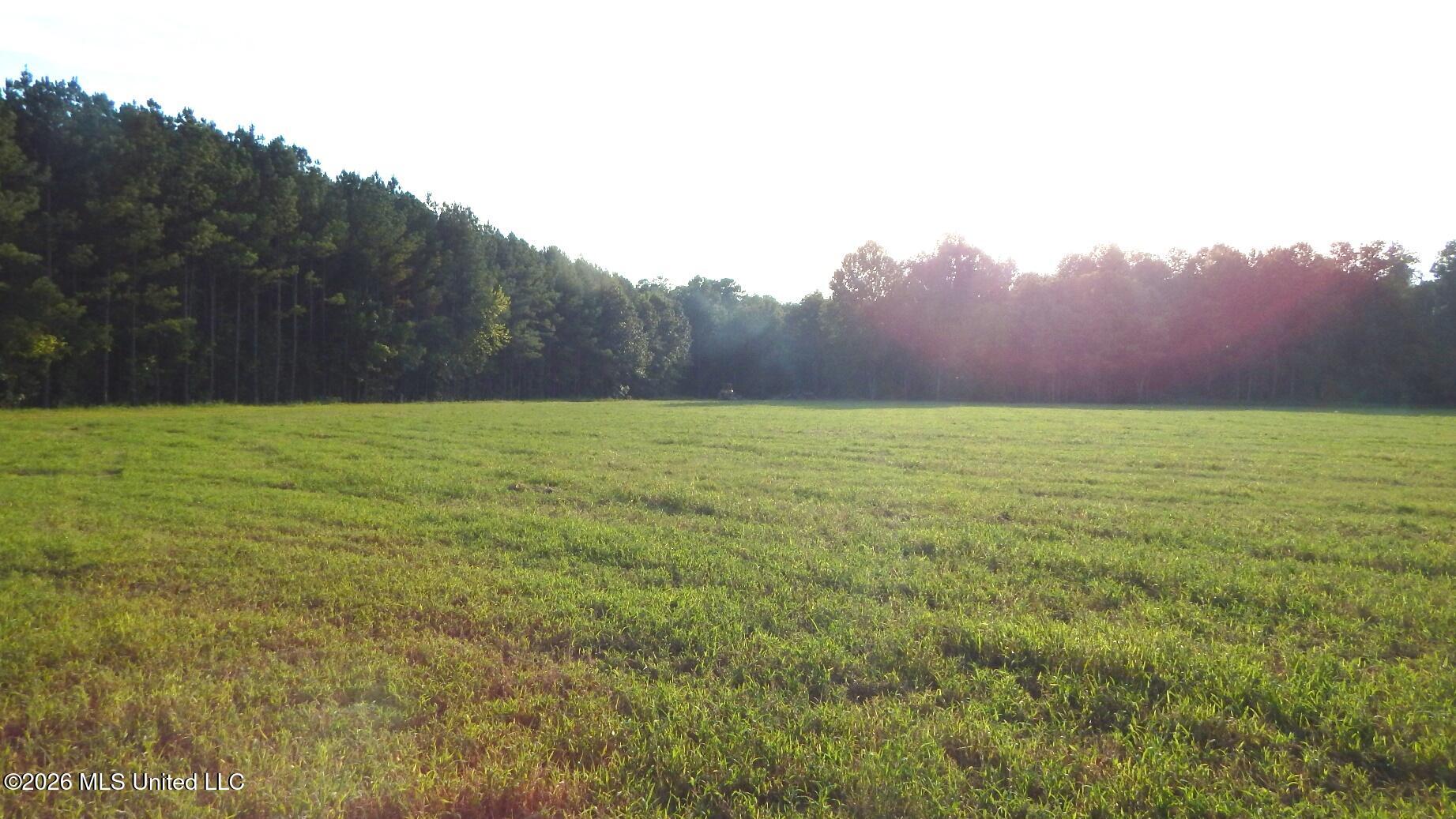 500 Cr 247 Road, Unit COUNTRY Bruce, MS 38915 - Photo 6 of 10 DSCN5712