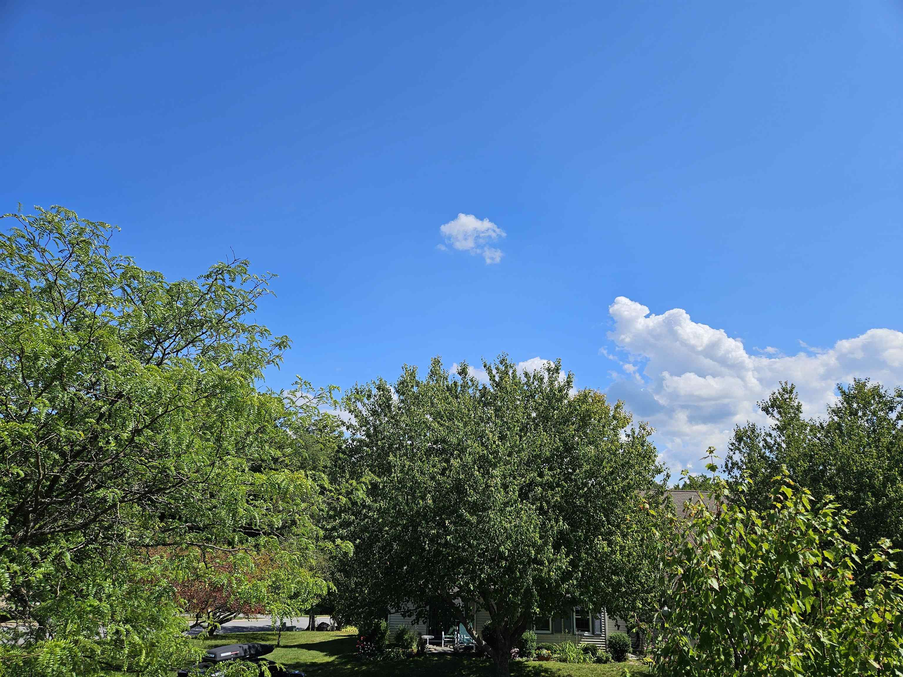 1204 The Terraces, Unit 1204 Shelburne, VT 05482 - Photo 25 of 36