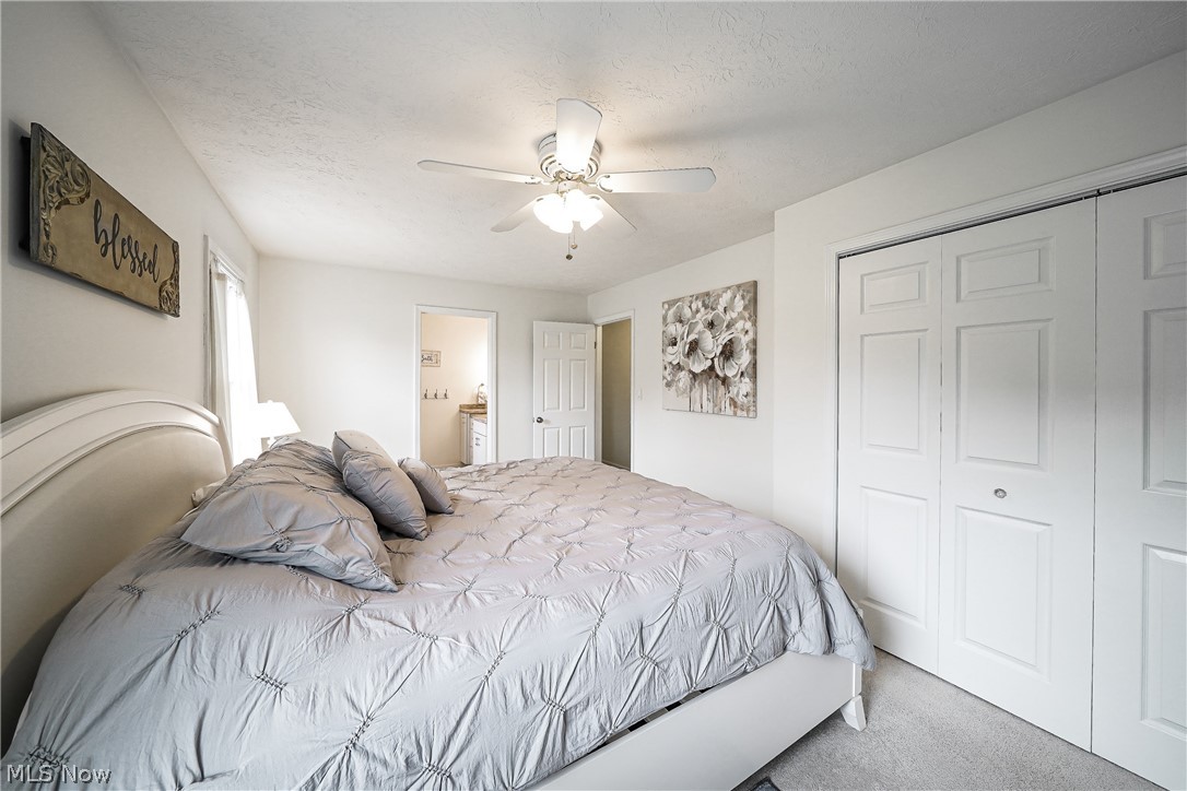 3770 Winchell Road Mantua, OH 44255 - Photo 13 of 34 master bedroom.