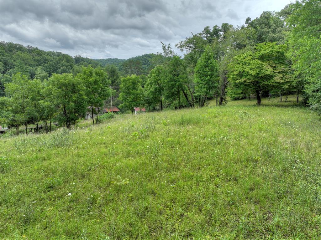 5171 Old Highway 76 Blue Ridge, GA 30513 - Photo 25 of 31 Gallery Image 25