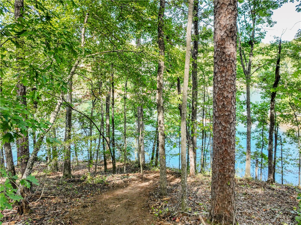 282 War Path Road Six Mile, SC 29682 - Photo 10 of 12 Gallery Image 10