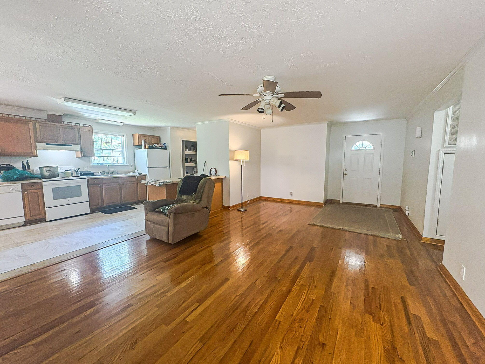 389 Skyland Farm Road Williston, SC 29853 - Photo 4 of 25