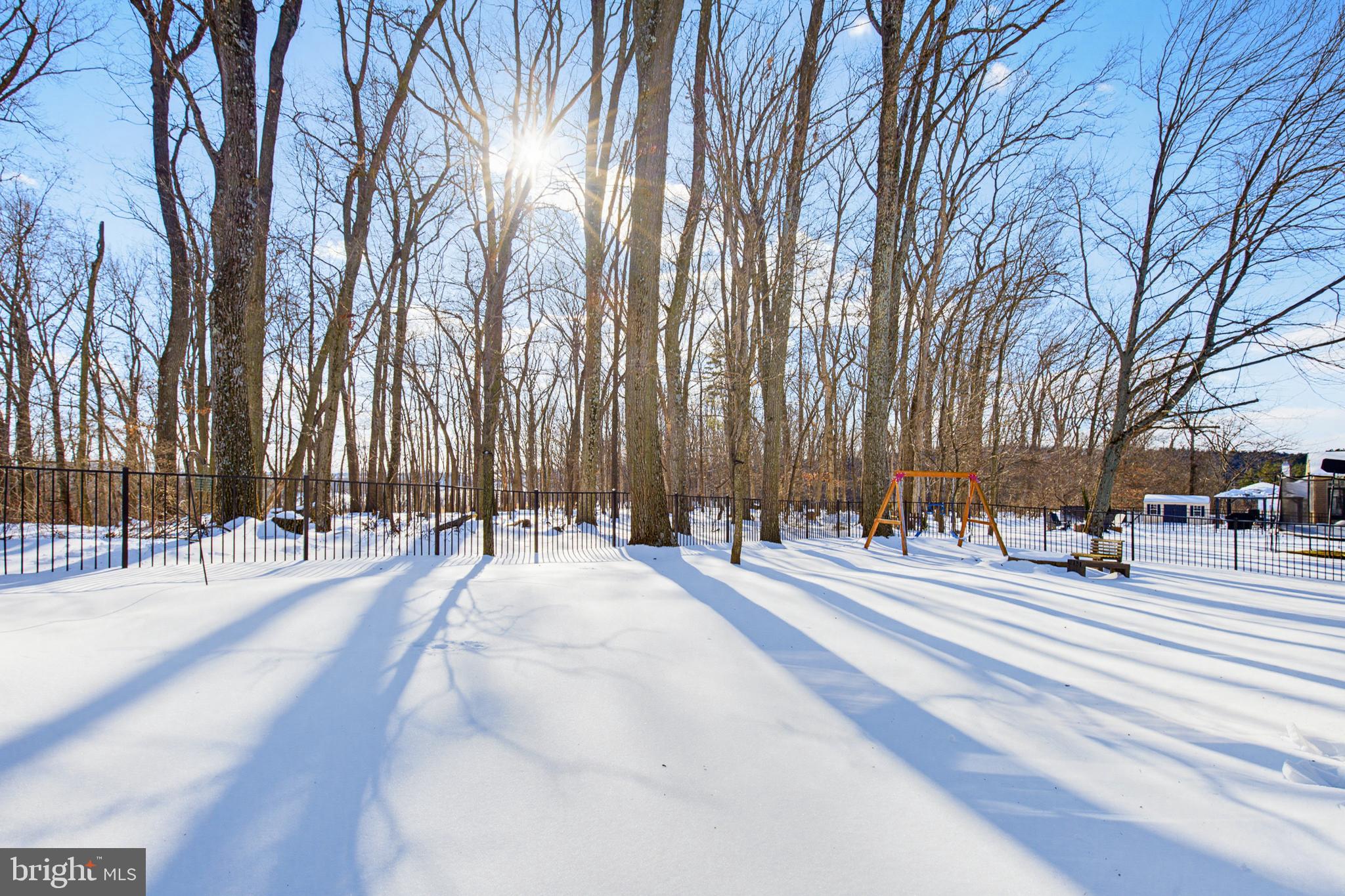 495 Lakeview Drive Spring Grove, PA 17362 - Photo 23 of 29 Backyard