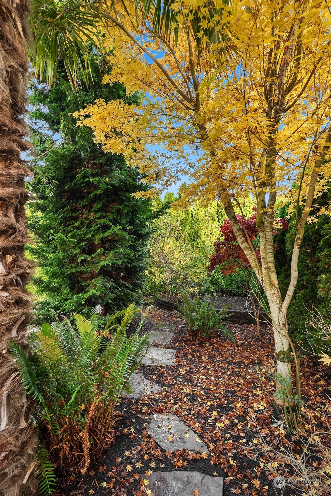 307 Elm Street Everett, WA 98203 - Photo 30 of 31 a backyard of a house with lots of plants and trees