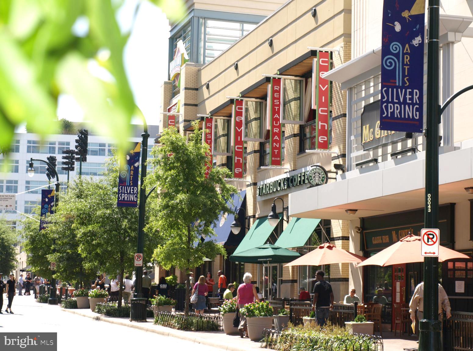 2214 Washington Avenue, Unit 204 Silver Spring, MD 20910 - Photo 27 of 32 a view of city with the shops and fruits market