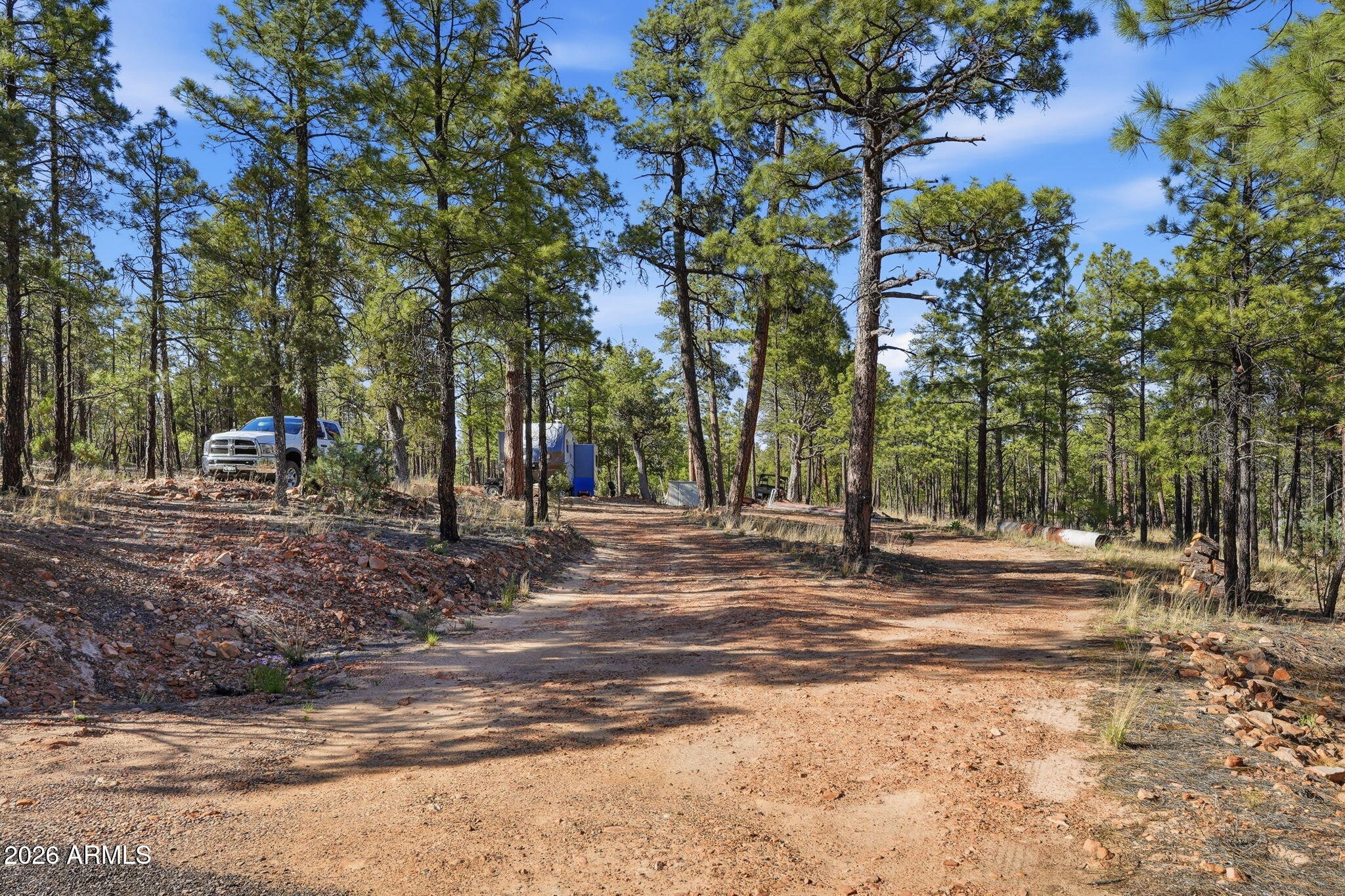 2060 Gilbert Lane Overgaard, AZ 85933 - Photo 5 of 87 a view of road with trees