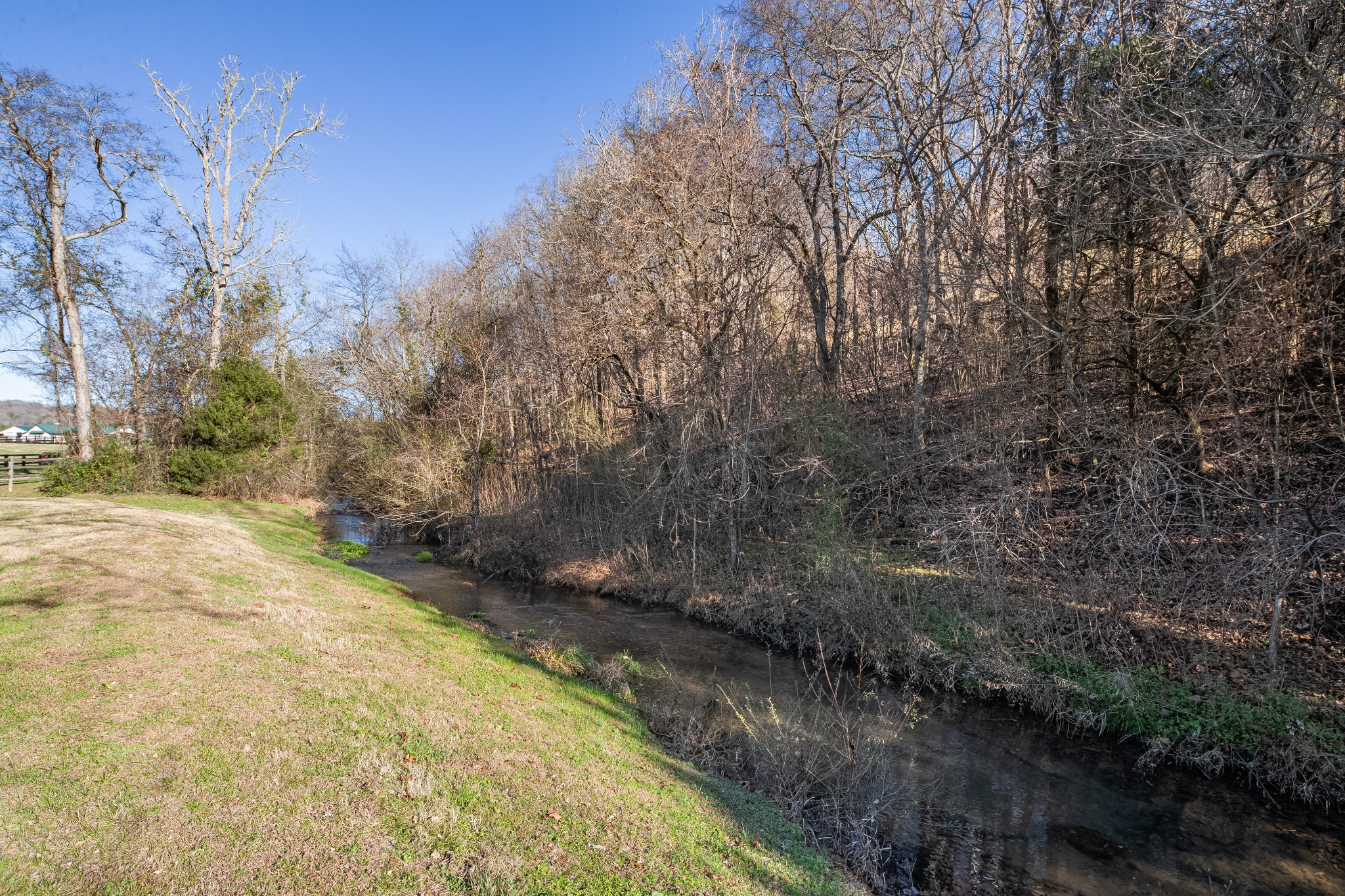 3580 Blue Creek Road Lynnville, TN 38472 - Photo 65 of 90 a view of a yard with trees