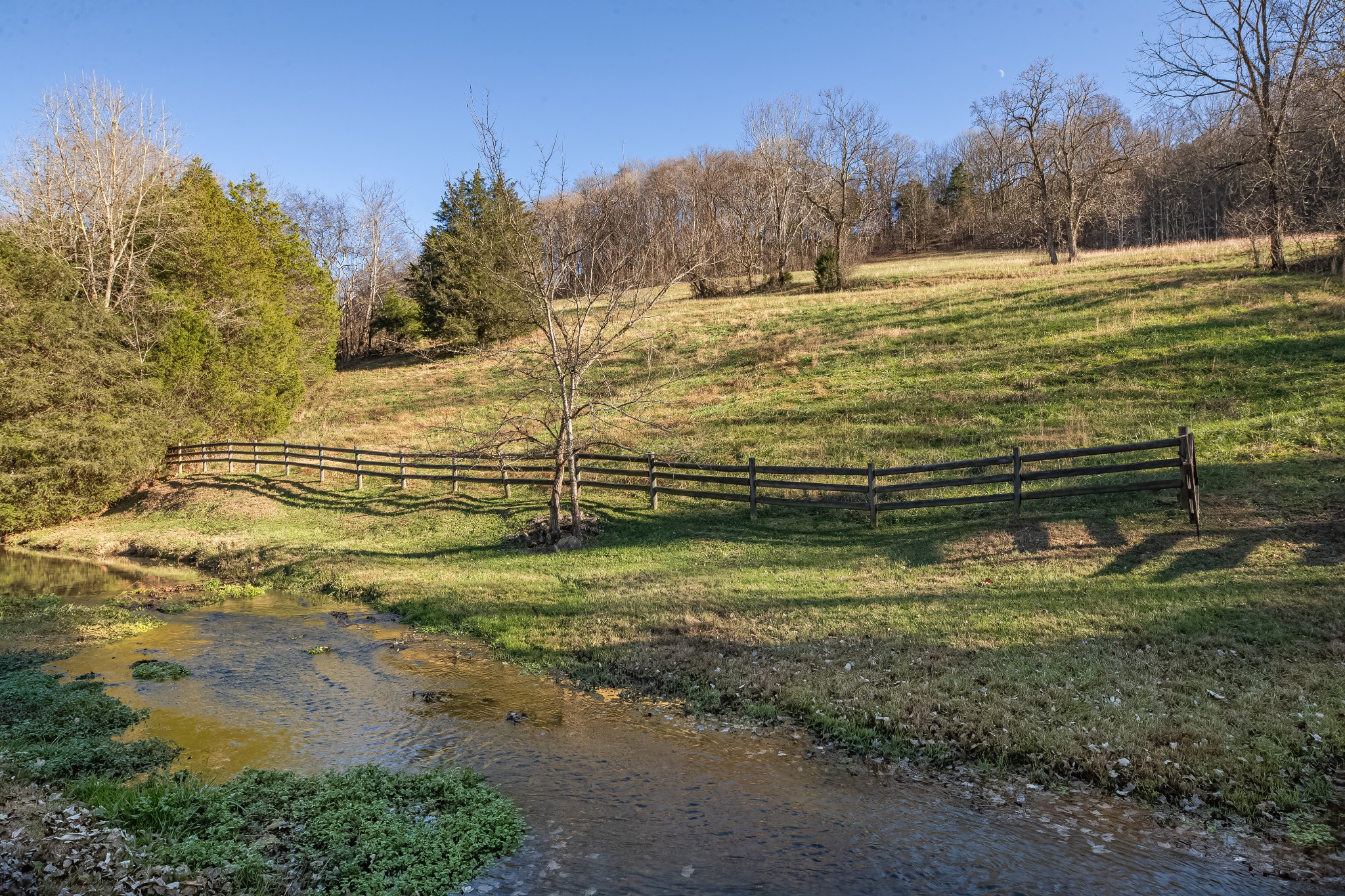 3580 Blue Creek Road Lynnville, TN 38472 - Photo 67 of 90 a view of a yard with an ocean beach
