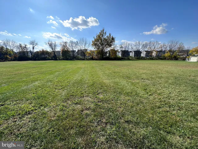 a view of a big yard