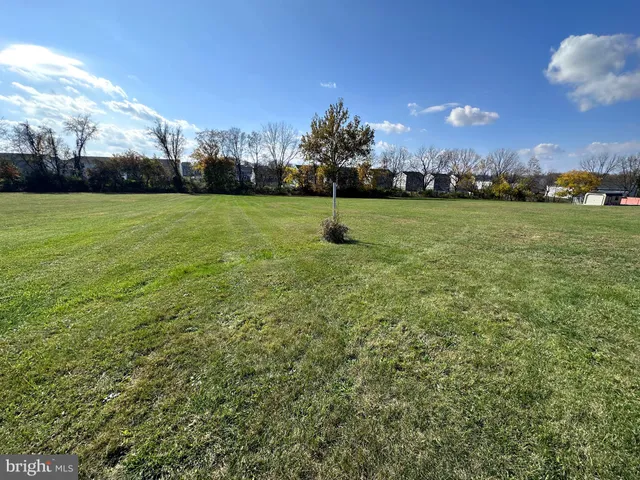 a view of a field with tree in front of it