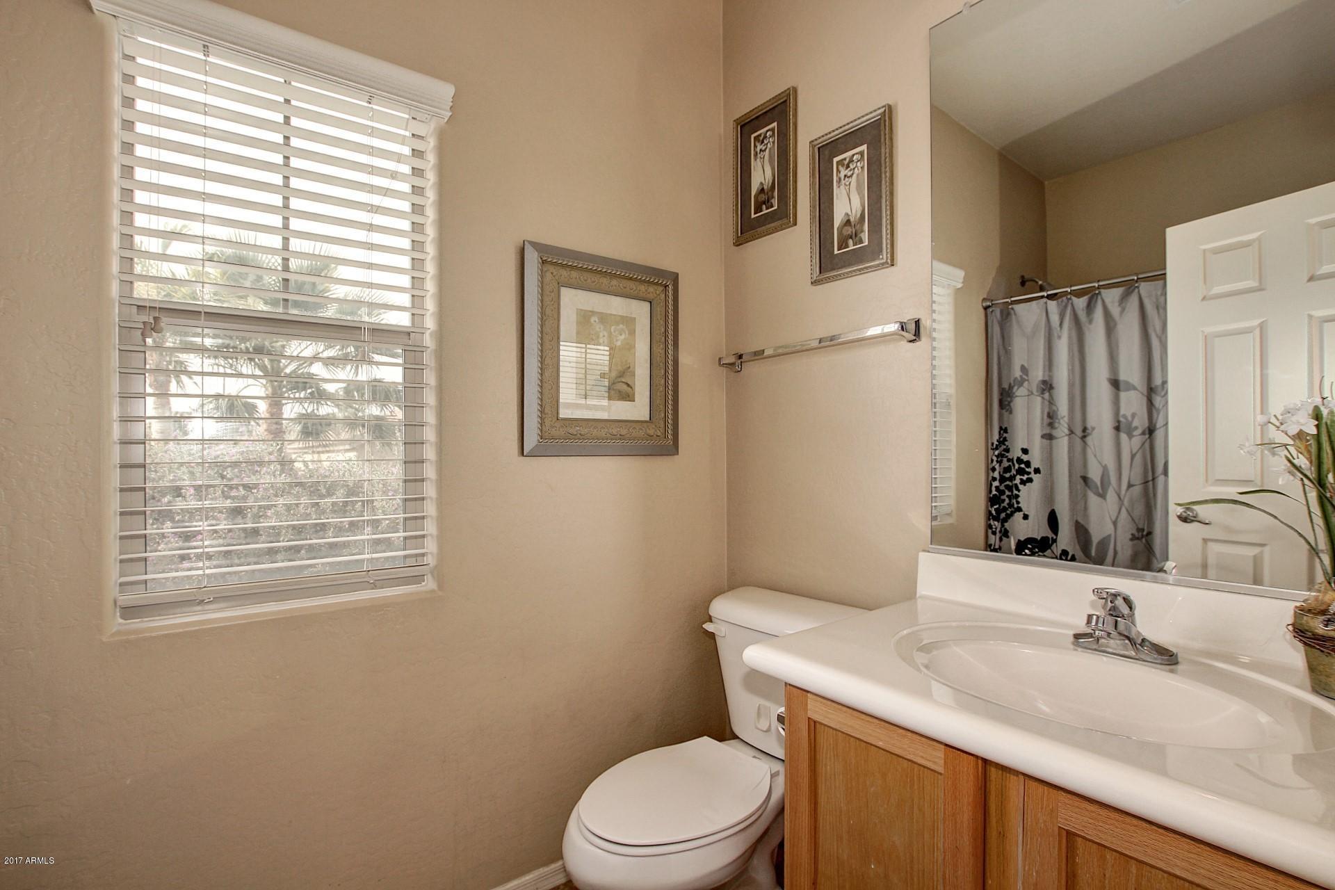 462 North Citrus Lane Gilbert, AZ 85234 - Photo 16 of 44 Guest bathroom #1 - Downstairs