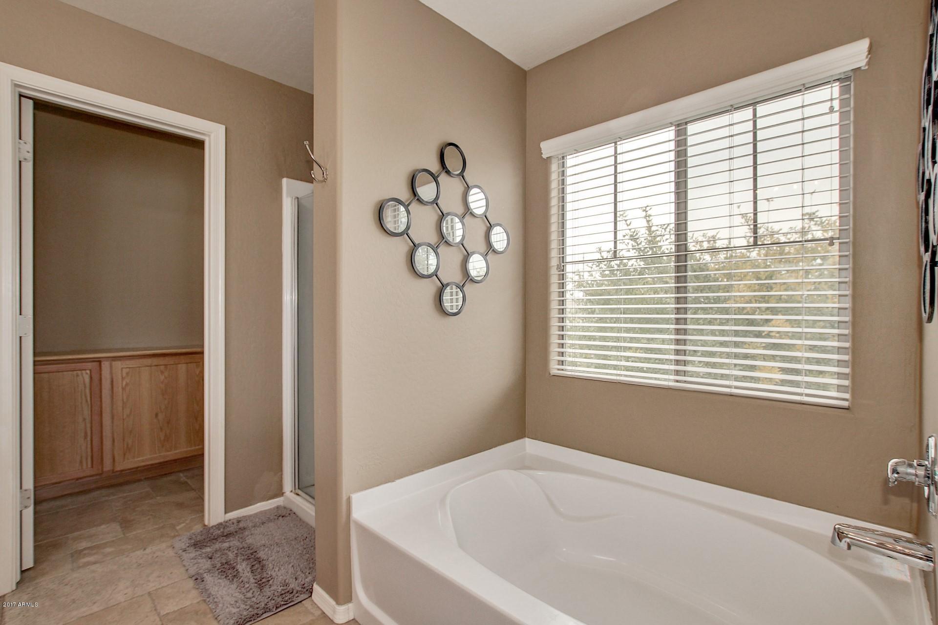462 North Citrus Lane Gilbert, AZ 85234 - Photo 27 of 44 Master bath