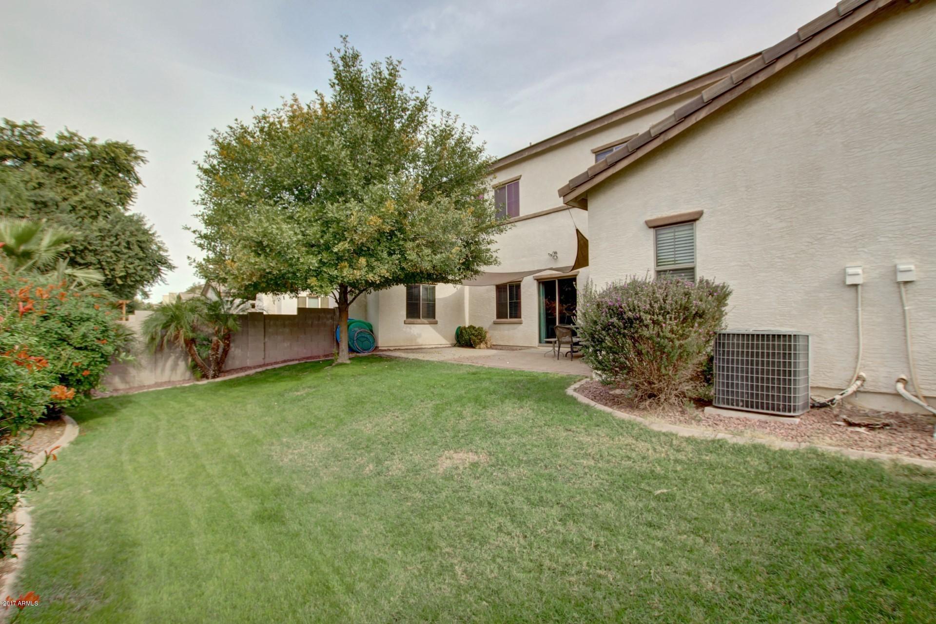 462 North Citrus Lane Gilbert, AZ 85234 - Photo 34 of 44 Backyard