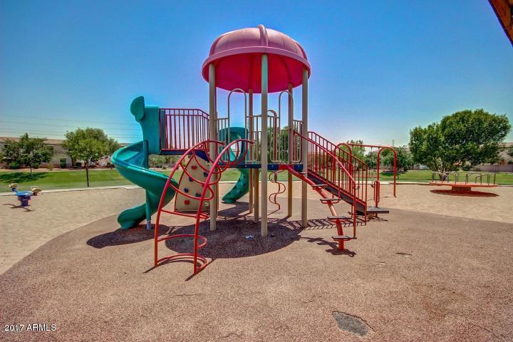 462 North Citrus Lane Gilbert, AZ 85234 - Photo 35 of 44 20170622210151820346000000-o