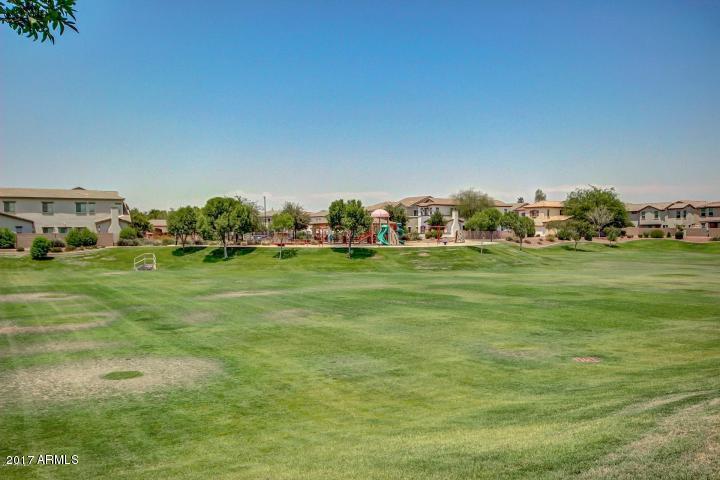 462 North Citrus Lane Gilbert, AZ 85234 - Photo 43 of 44 20170622205920306742000000-o