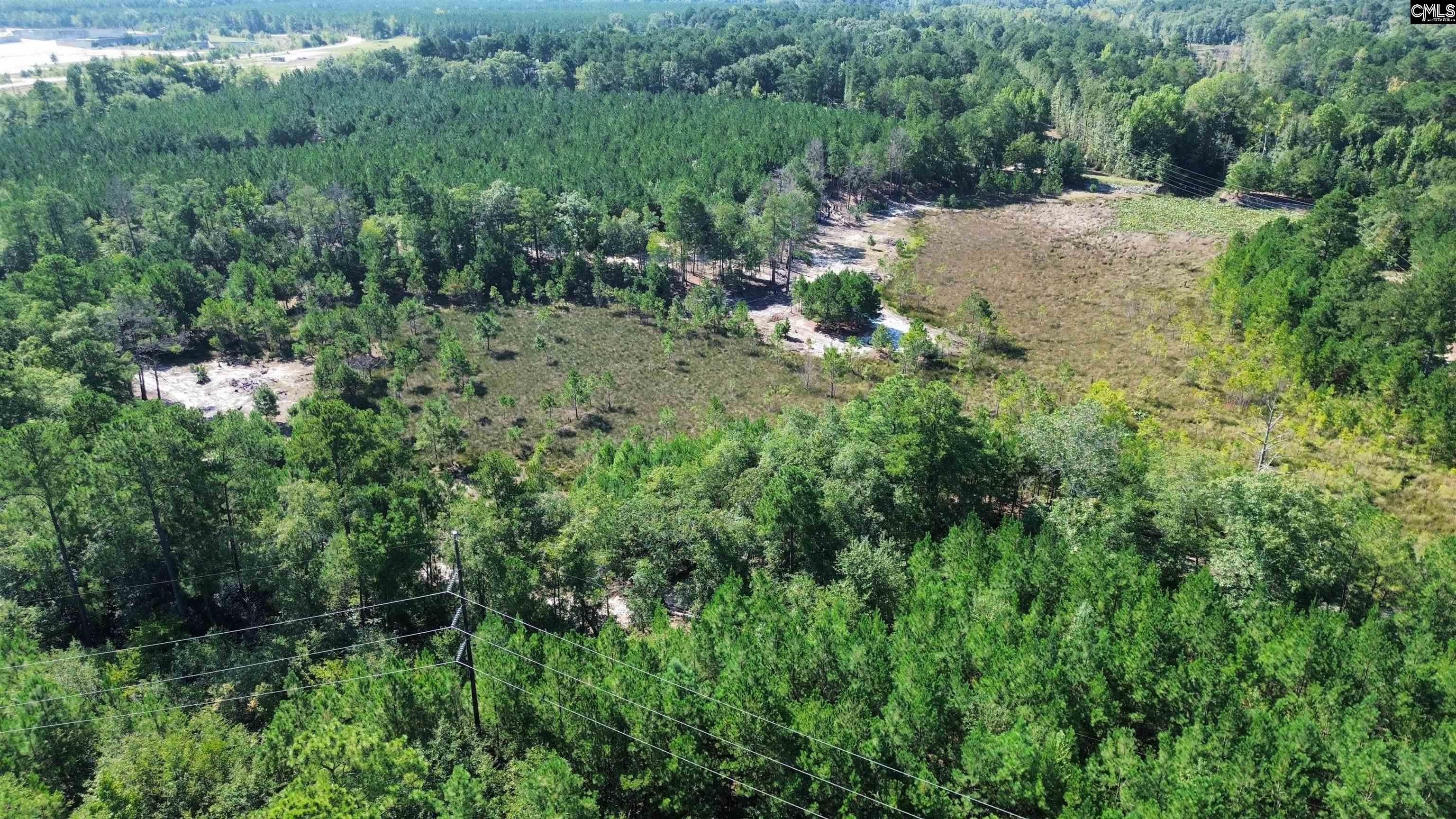 Duck Pond Road Gaston, SC 29053 - Photo 6 of 12 Gallery Image 6