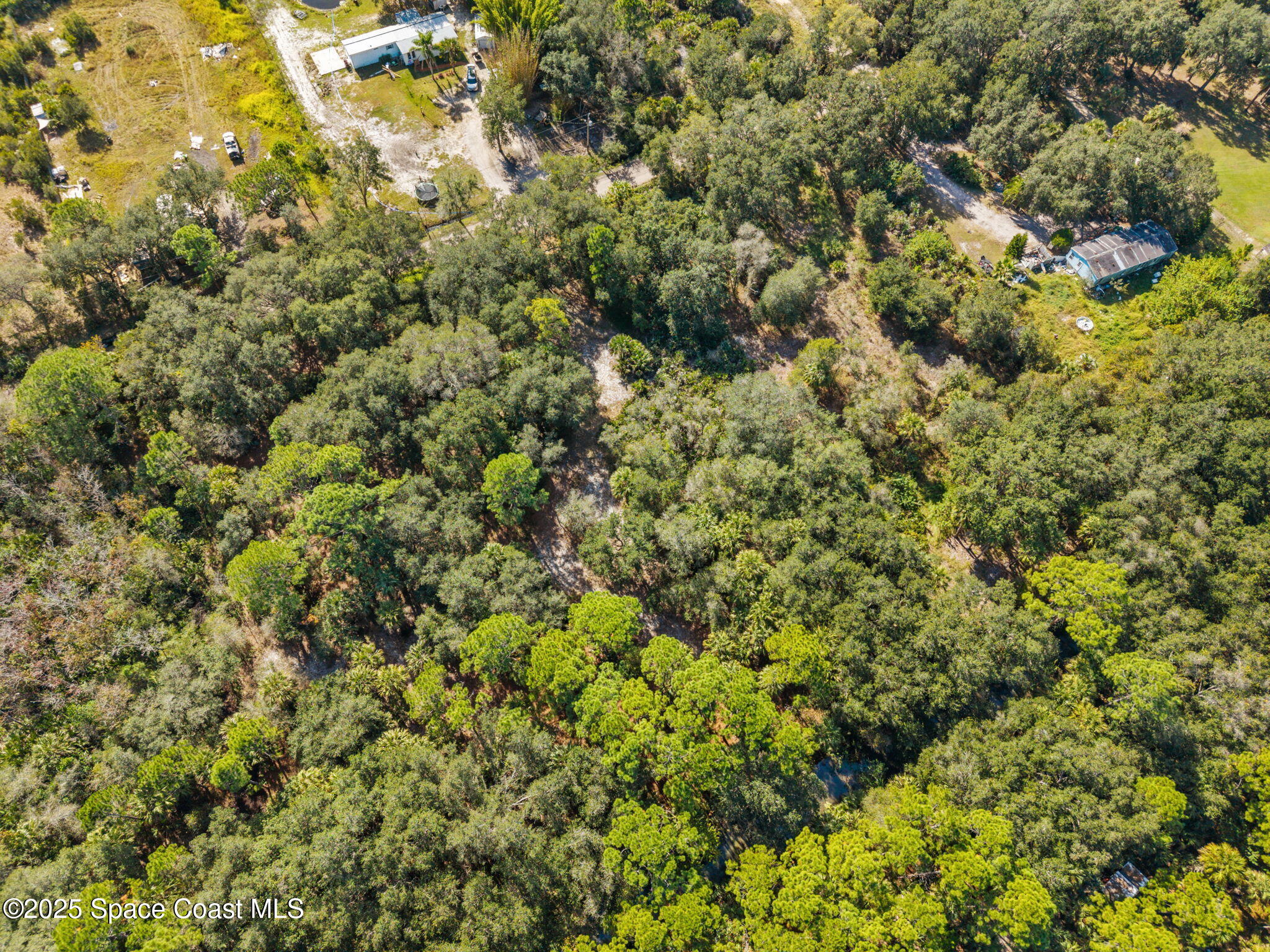 0 Bear Trail Cocoa, FL 32926 - Photo 5 of 11 a view of a yard
