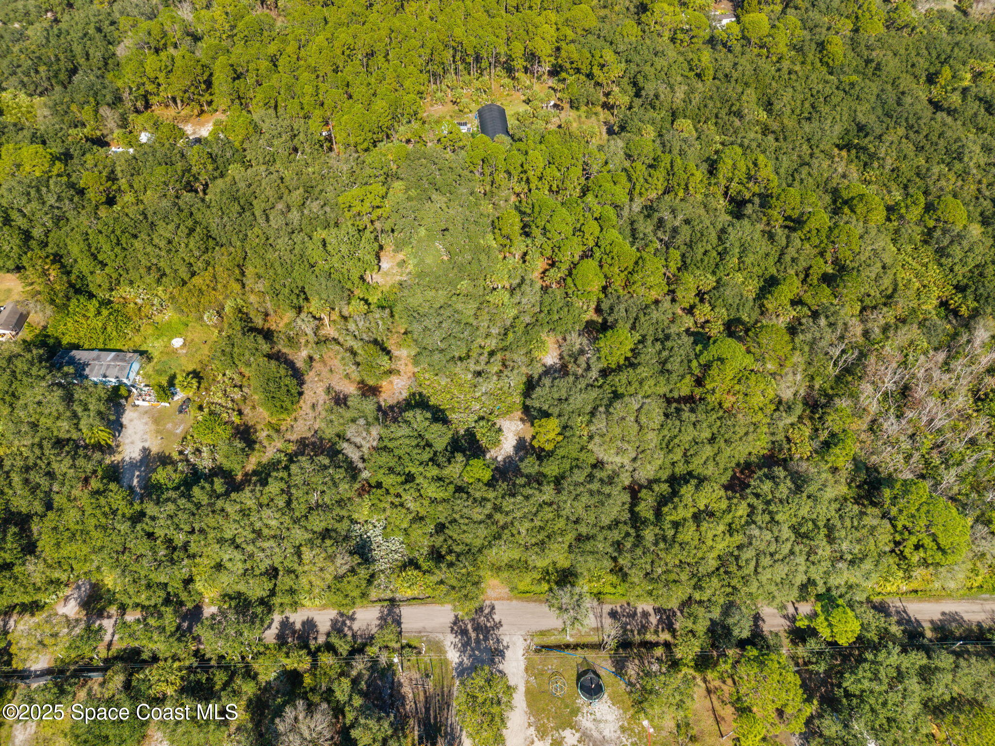 0 Bear Trail Cocoa, FL 32926 - Photo 10 of 11 a view of a big yard with plants and large trees