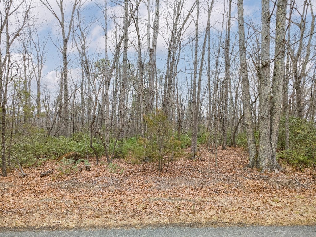 Tbd Meadowbrook Road, Unit 15481 Cana, VA 24317 - Photo 13 of 24 Gallery Image 13