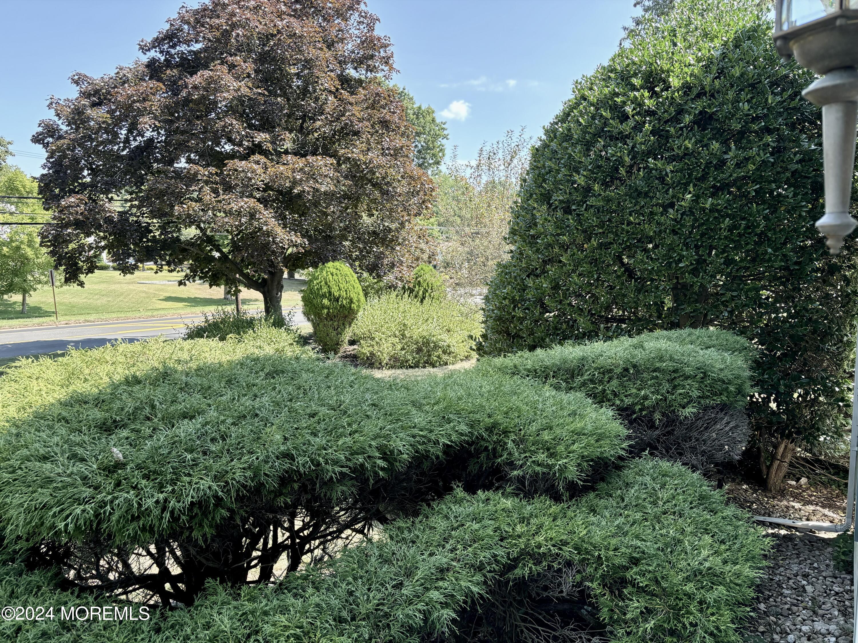 698 Colts Neck Road Freehold, NJ 07728 - Photo 24 of 48 Front Yard
