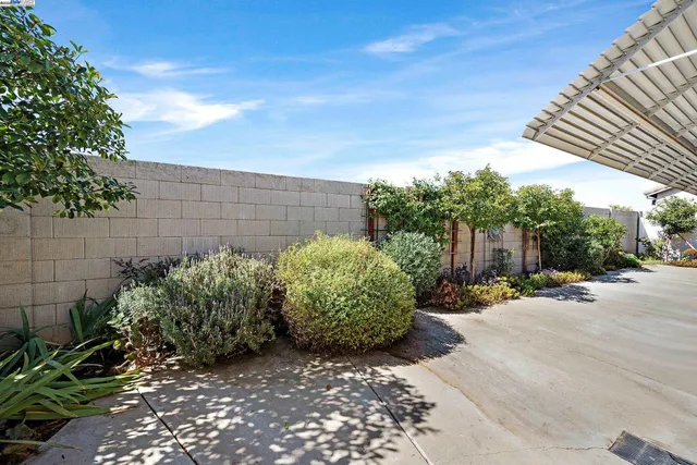 a view of a garden with plants and brick wall