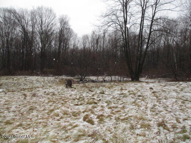68 Clemons Center Road Dresden, NY 12887 - Photo 7 of 10 IMG_4057