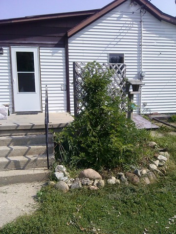 214 South West Street Wyanet, IL 61379 - Photo 3 of 20