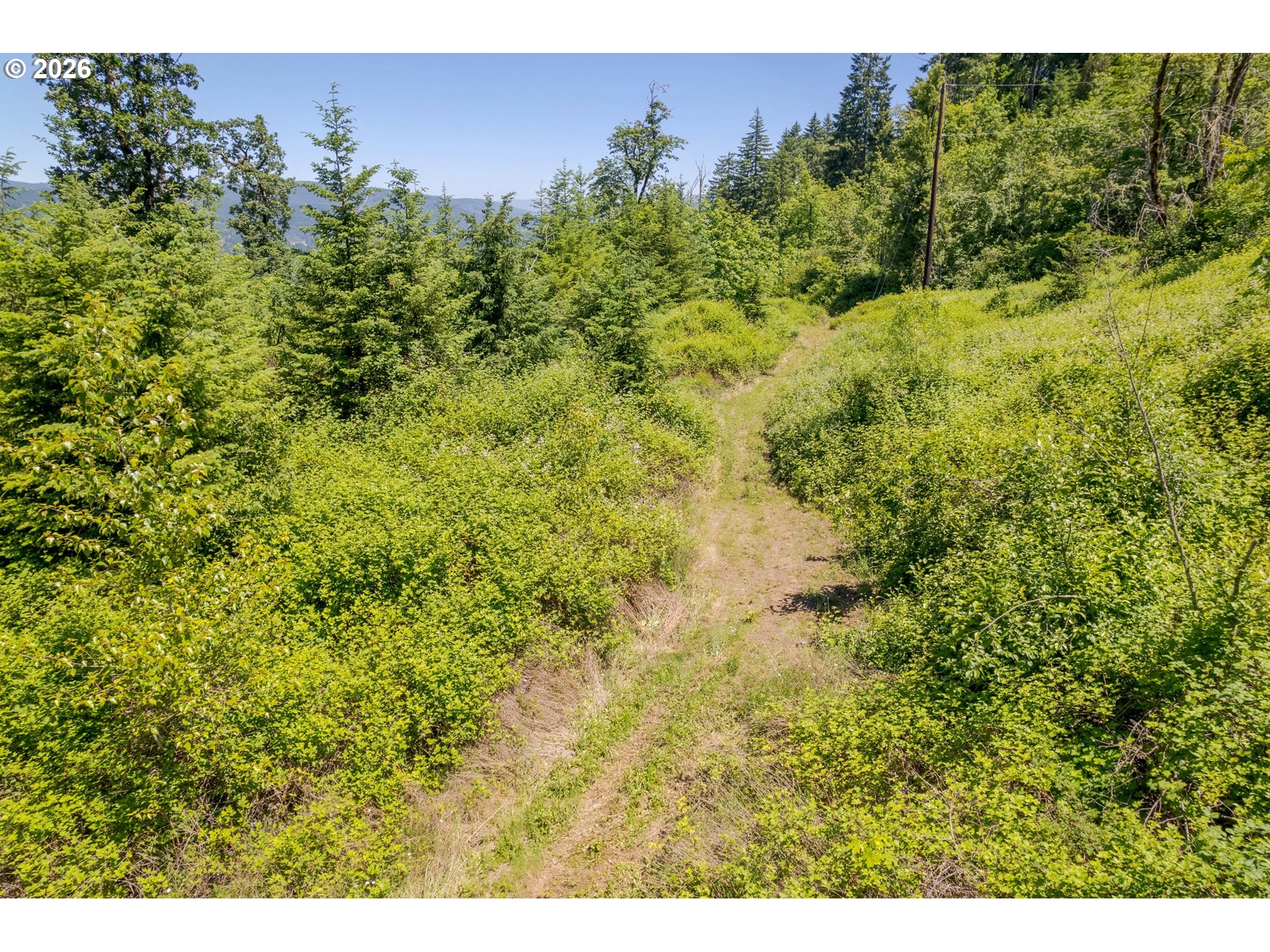 8563 McKenzie Highway Springfield, OR 97478 - Photo 29 of 35